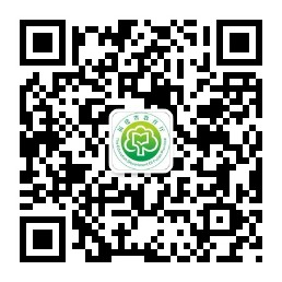 bet365官网
